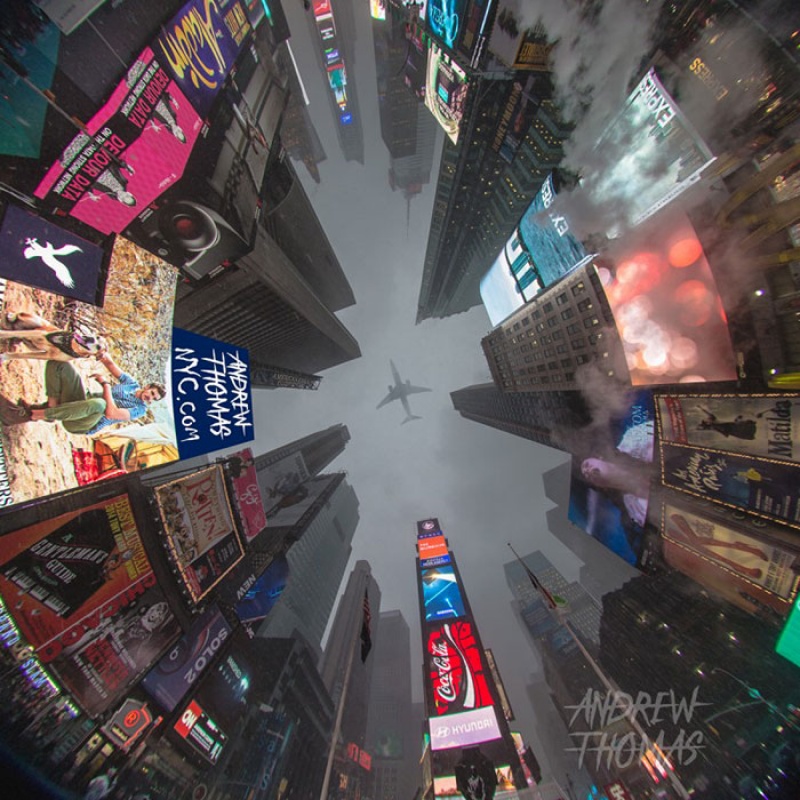 Perfectly Timed Photos Owl Faced Times Square Look Up