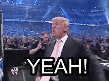 Donald Trump WWE