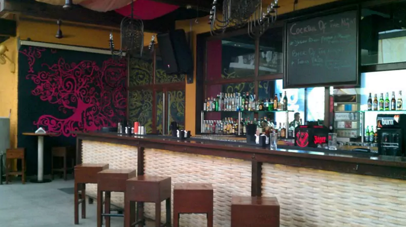 bonobo bandra mumbai