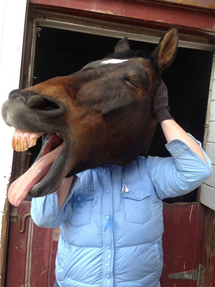 Perfectly Timed Photos Horsing Around