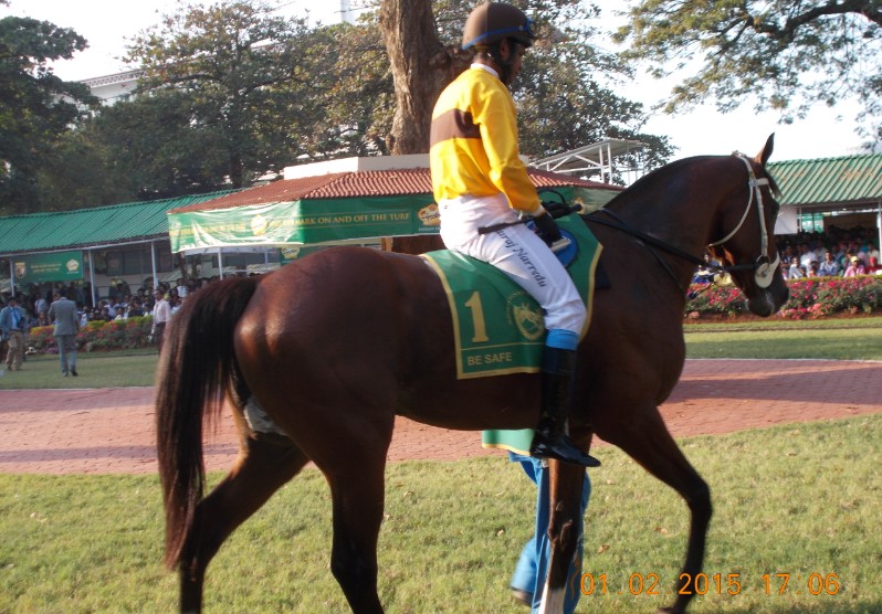 Horse Racing Mumbai